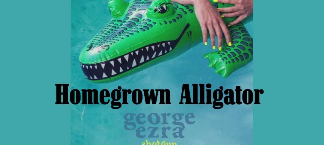 homegrown alligator Shotgun George Ezra Line Dance